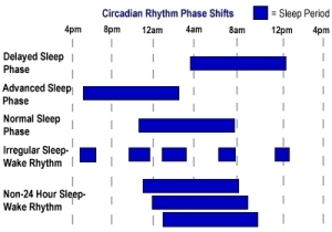 Sleep/Wake Patterns Circadian Rhythm