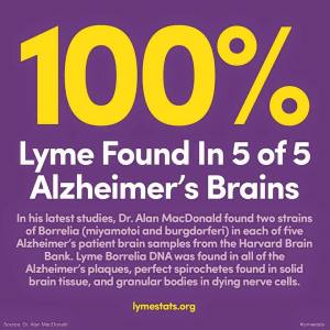Misinformation on Alzheimer's Disease